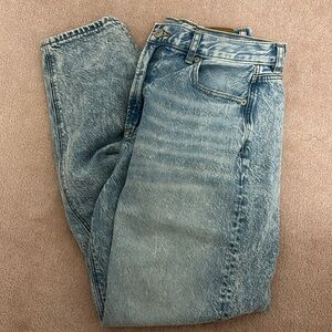 American Eagle Relaxed Mom Jean (short)